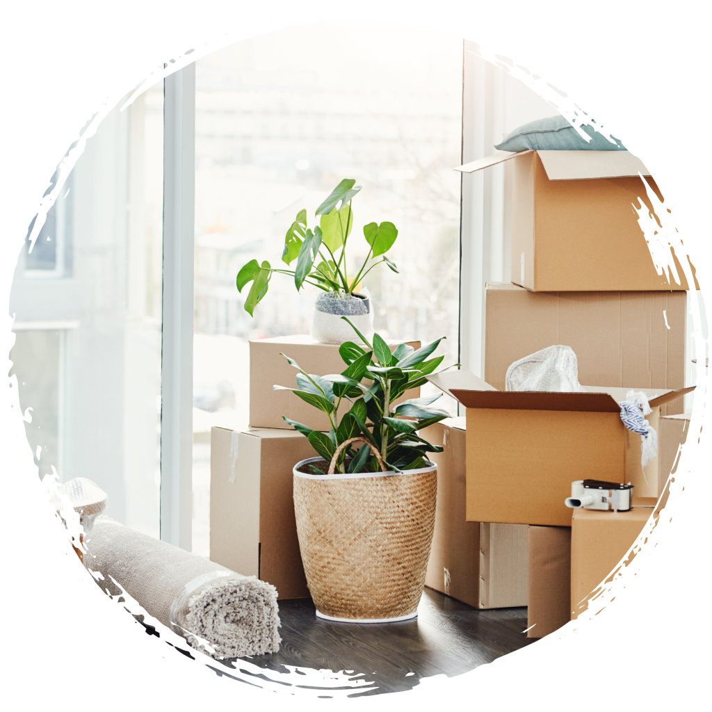 Stress-Free Moving: Essential Packing and Moving Tips from Ashe County Realty