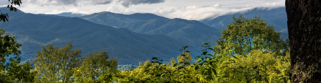 Ashe County's Commitment to Conservation and Natural Reserves