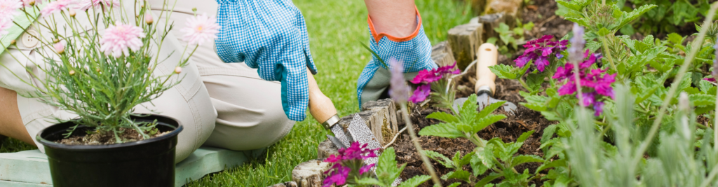 National Gardening Week: Celebrating the Joys of Gardening in Ashe County