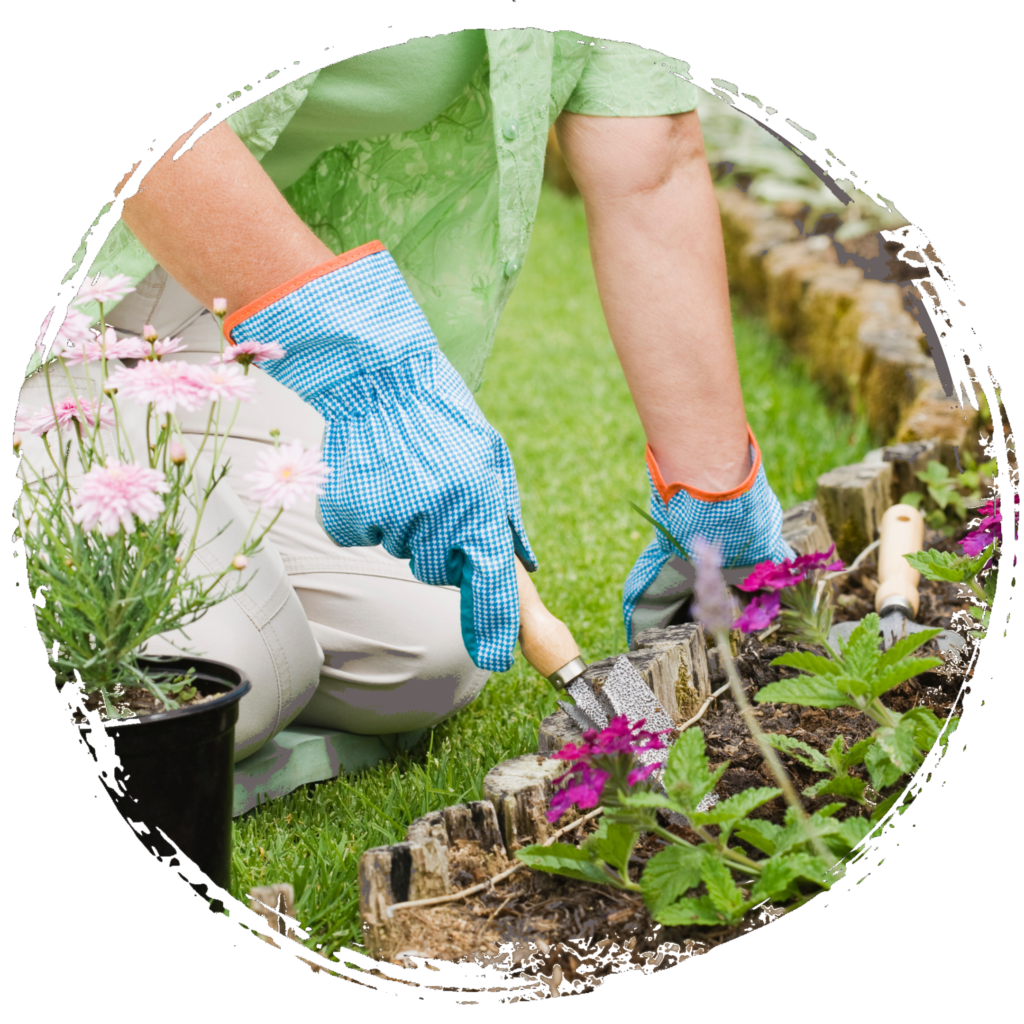 National Gardening Week: Celebrating the Joys of Gardening in Ashe County