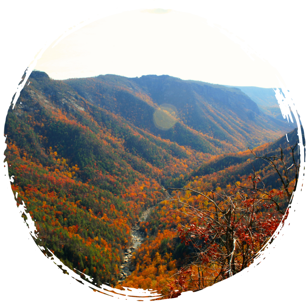 Celebrate the First Day of Fall in Ashe County