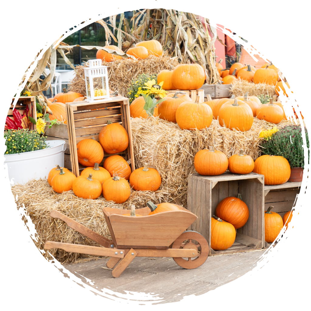 National Pumpkin Day: Celebrating Fall in Ashe County