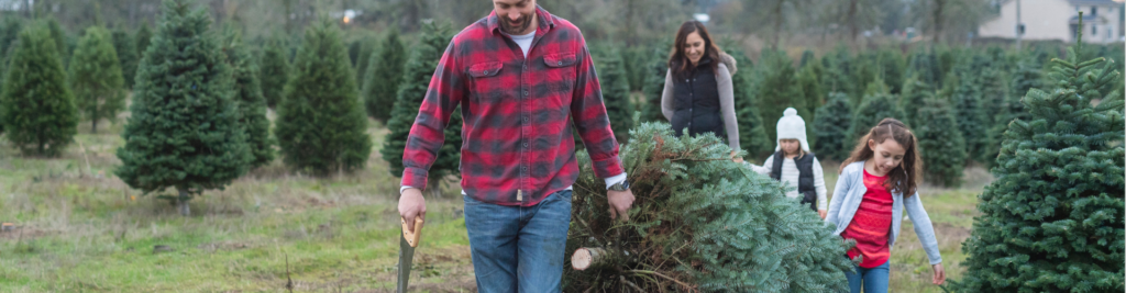 Christmas Tree Farming in Ashe County: A Timeless Holiday Tradition