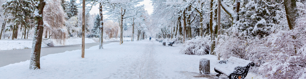 Winter in Ashe County: What You Need to Know Before Moving